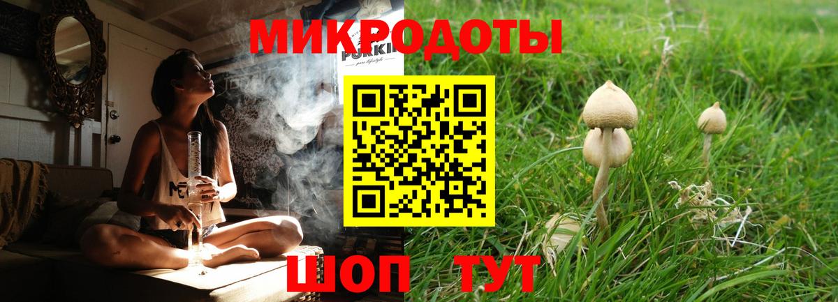 наркошоп  Вход с VPN  Саратов  Псилоцибиновые грибы MAGIC MUSHROOMS 